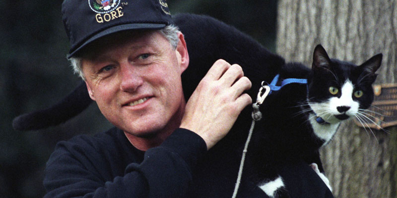 gatos famosos-Socks Clinton Casa Blanca