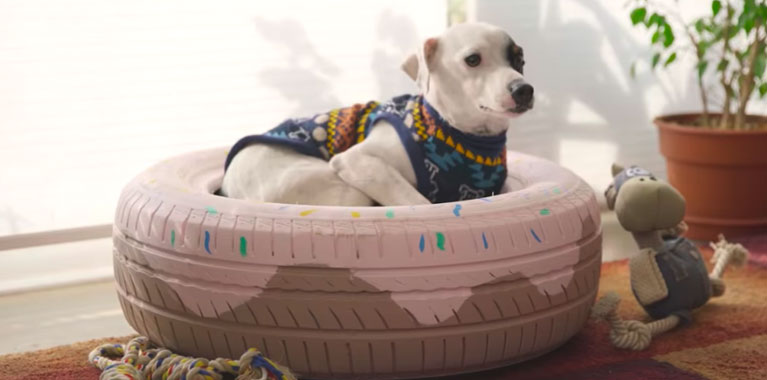 Anotar dentista moco Cómo hacer una cama de perro con neumático (y 2 ideas más) | Fanáticos de  las mascotas