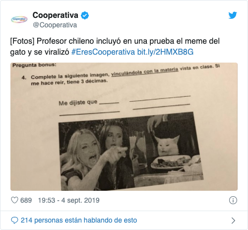 el gato del meme en una prueba