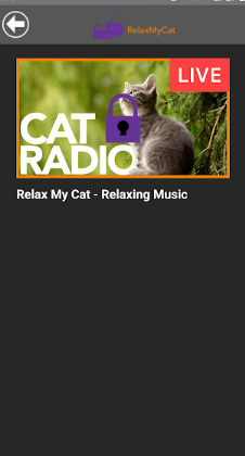 música relajante para gatos