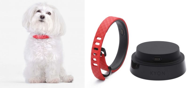 productos para mascotas collar inteligente