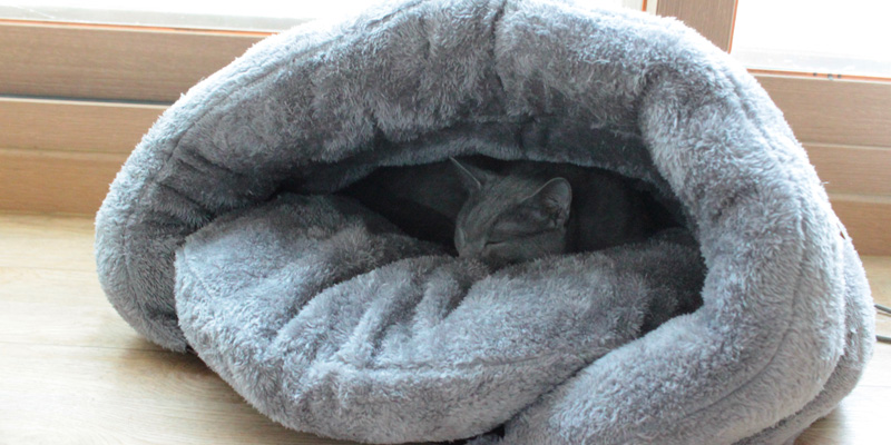 gato gris durmiendo en cama gris acolchada