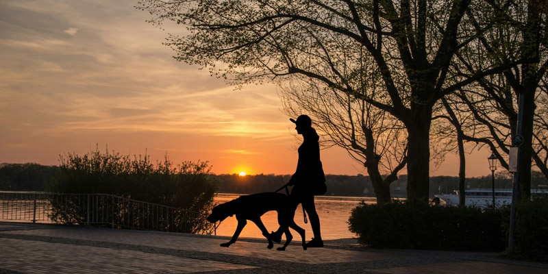 mujer paseando a perro al atardecer