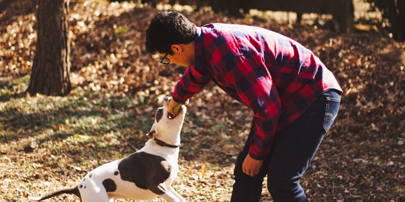 hombre jugando con perro