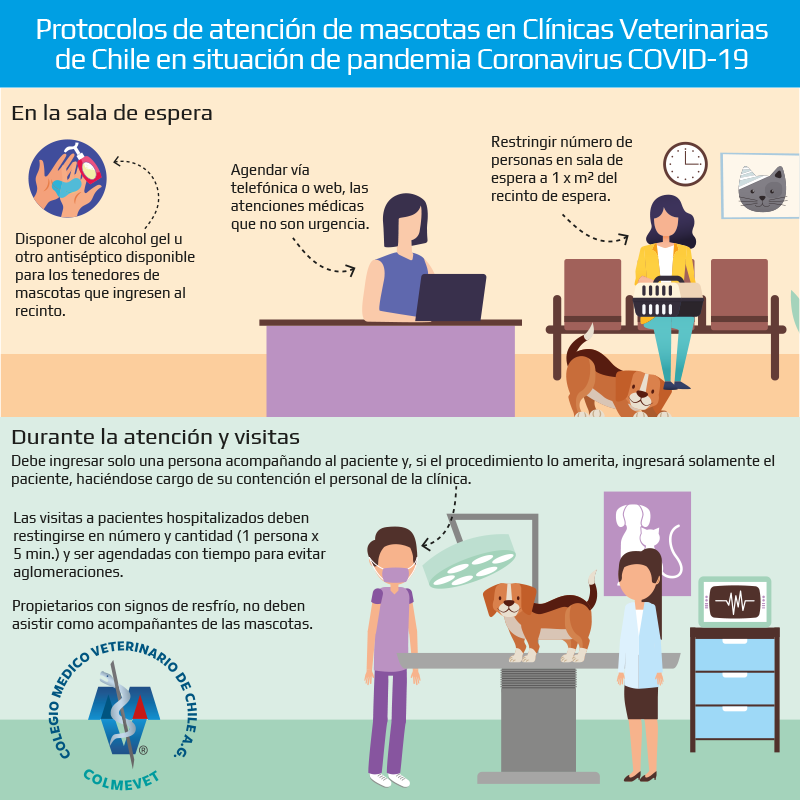 consultas veterinarias covid19