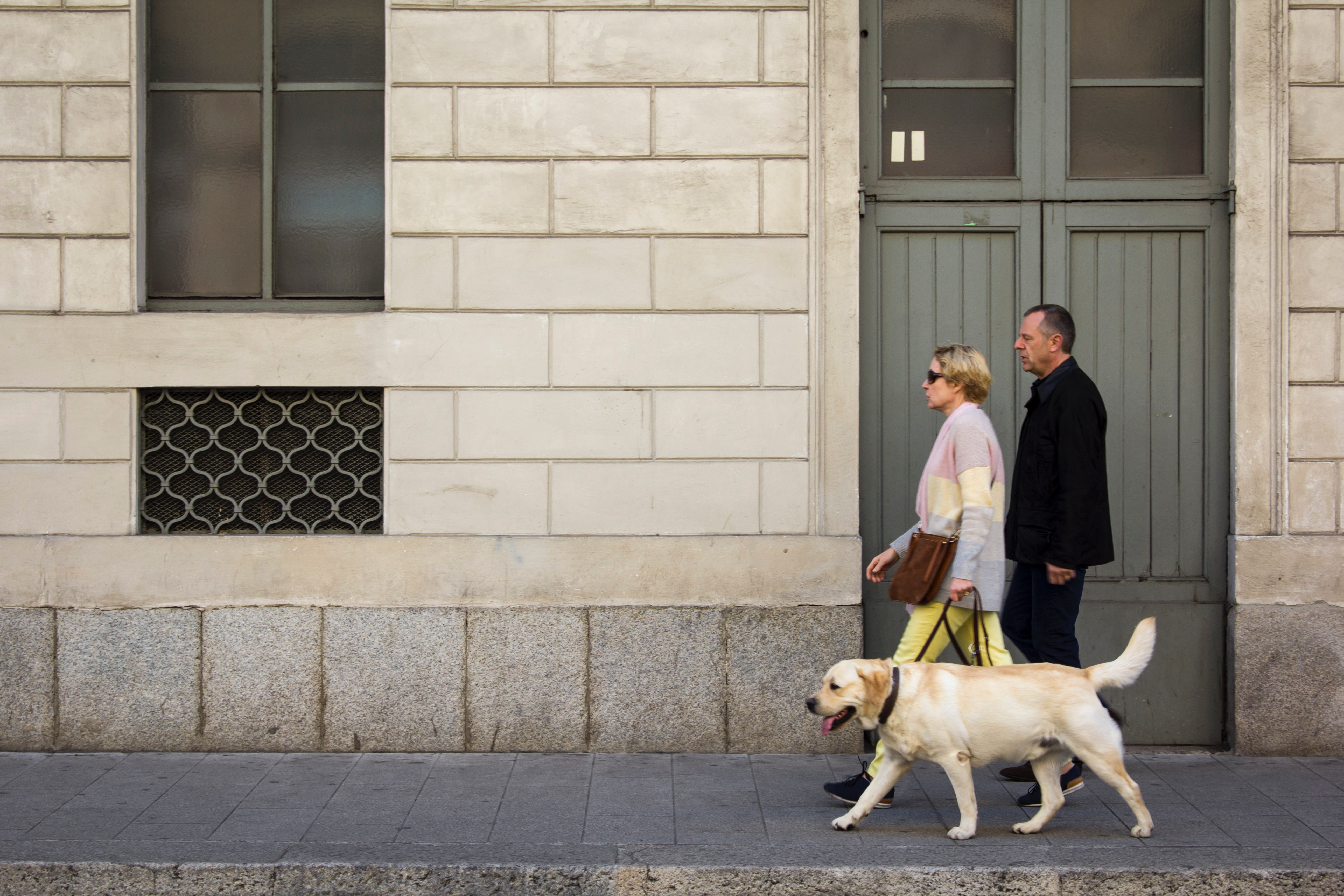 pasear perro prevención