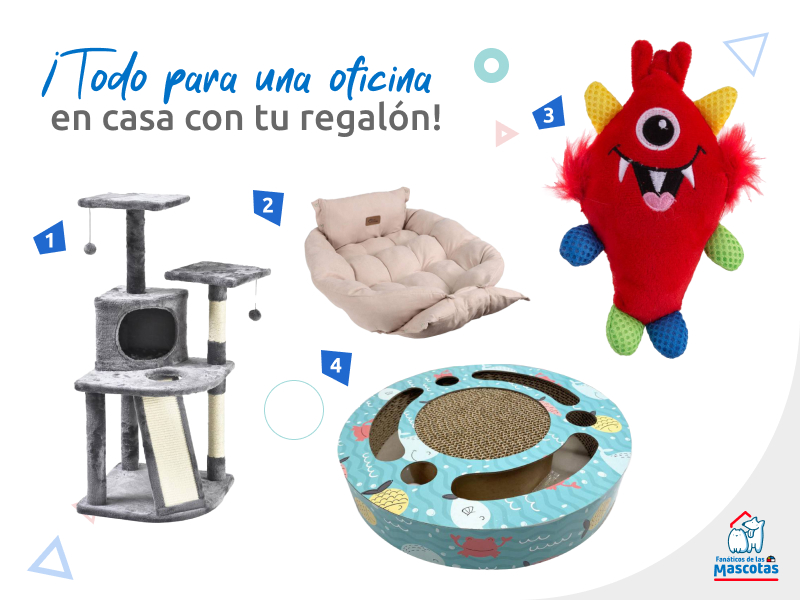 gimnasio rascador para gato, cama para perro, juguete para perro y juguete para gatos, esenciales para una oficina en casa con mascota