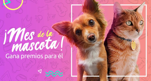 Concurso “Mes de las Mascotas Sodimac” para petlovers [finalizado]