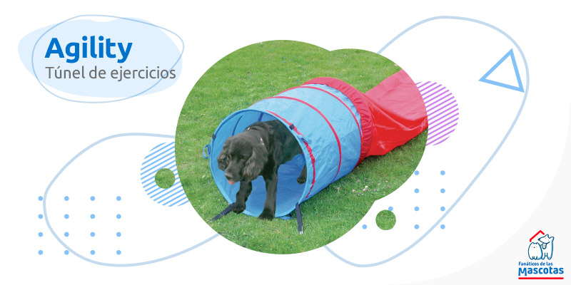 Aro de entrenamiento de agility