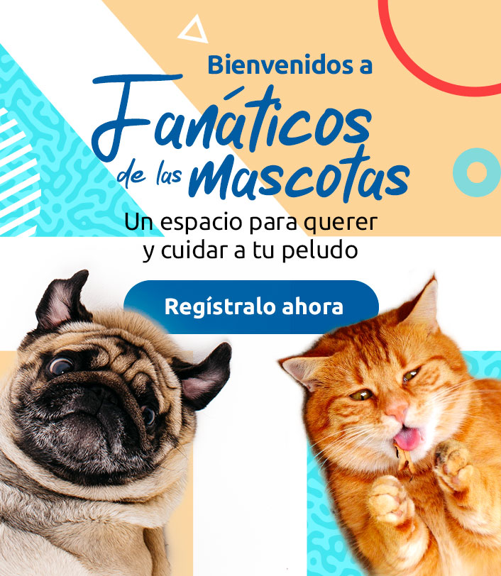 bienvenido fanáticos de las mascotas