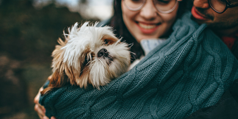 pareja pet lover sonriendo sosteniendo a un perro en brazos