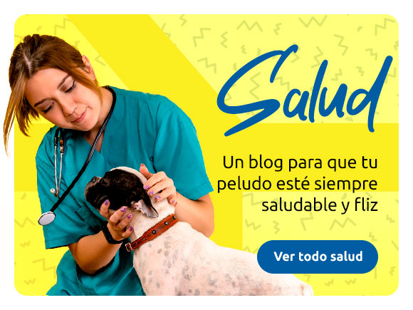 Consejos de salud y veterinaria para mascotas