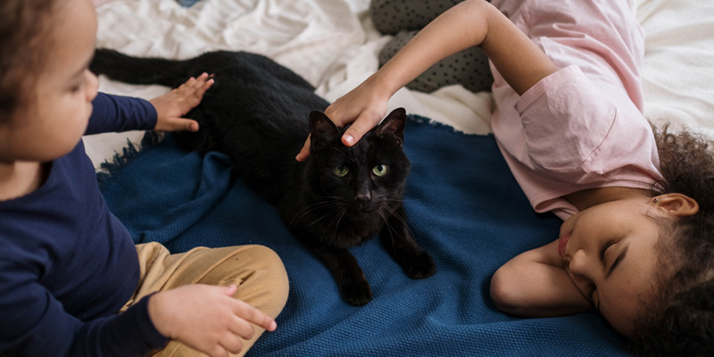 niños acariciando a un gato negro en el piso