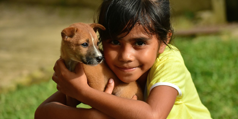 niña abrazando a un perro cachorro café