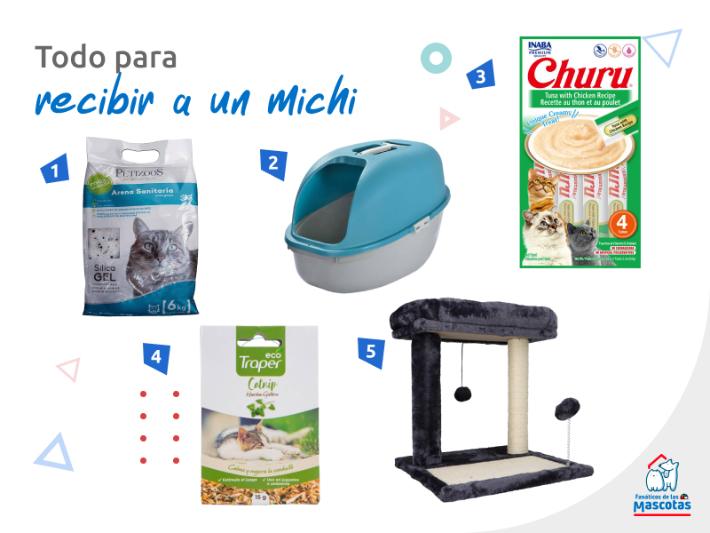 arena sanitaria para gatos, caja de arena para gatos, churu o snack para gatos, catnip o hierba gatera y un gimnasio rascador con cama para gatos, todo para recibir a un gato feral en casa