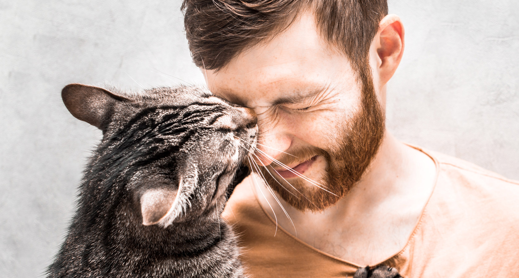 10 señales que usa tu michi para demostrar su amor de gato