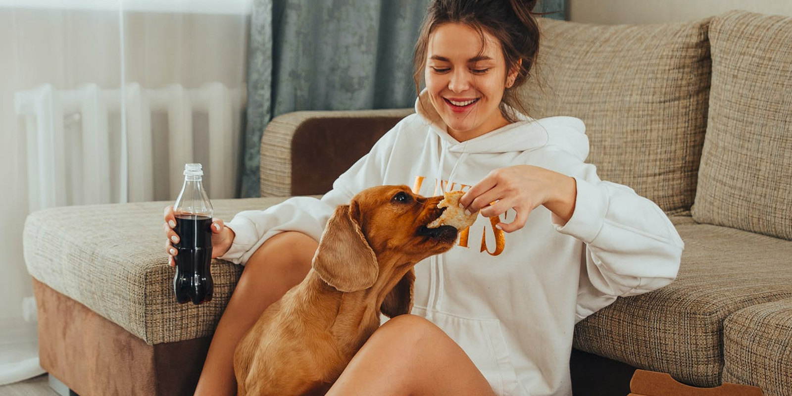 alimentos prohibidos mascotas