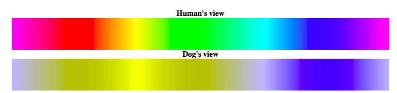 tabla que compara cómo el ojo humano ve los colores versus los perros