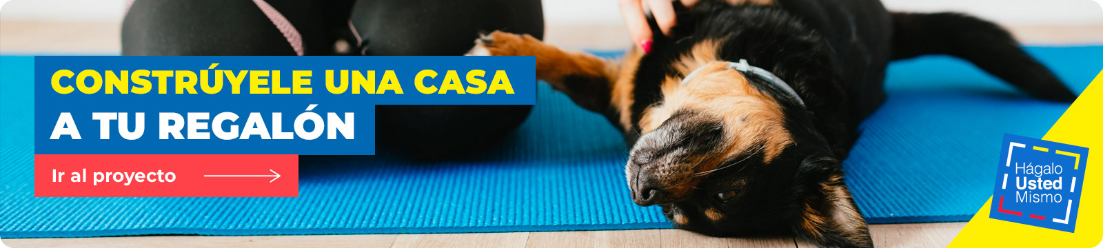 perro negro recostado sobre su espalda sobre un mat de yoga azul