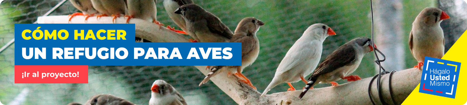 Cómo hacer un refugio de aves