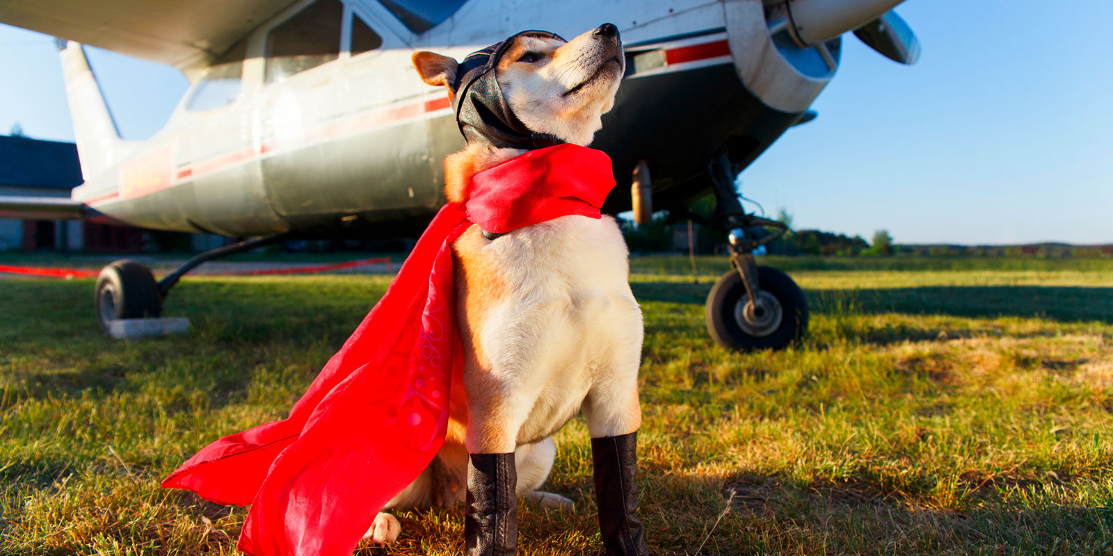 Perro vestido de piloto con capa roja y gorro de aviador con un avión atrás.