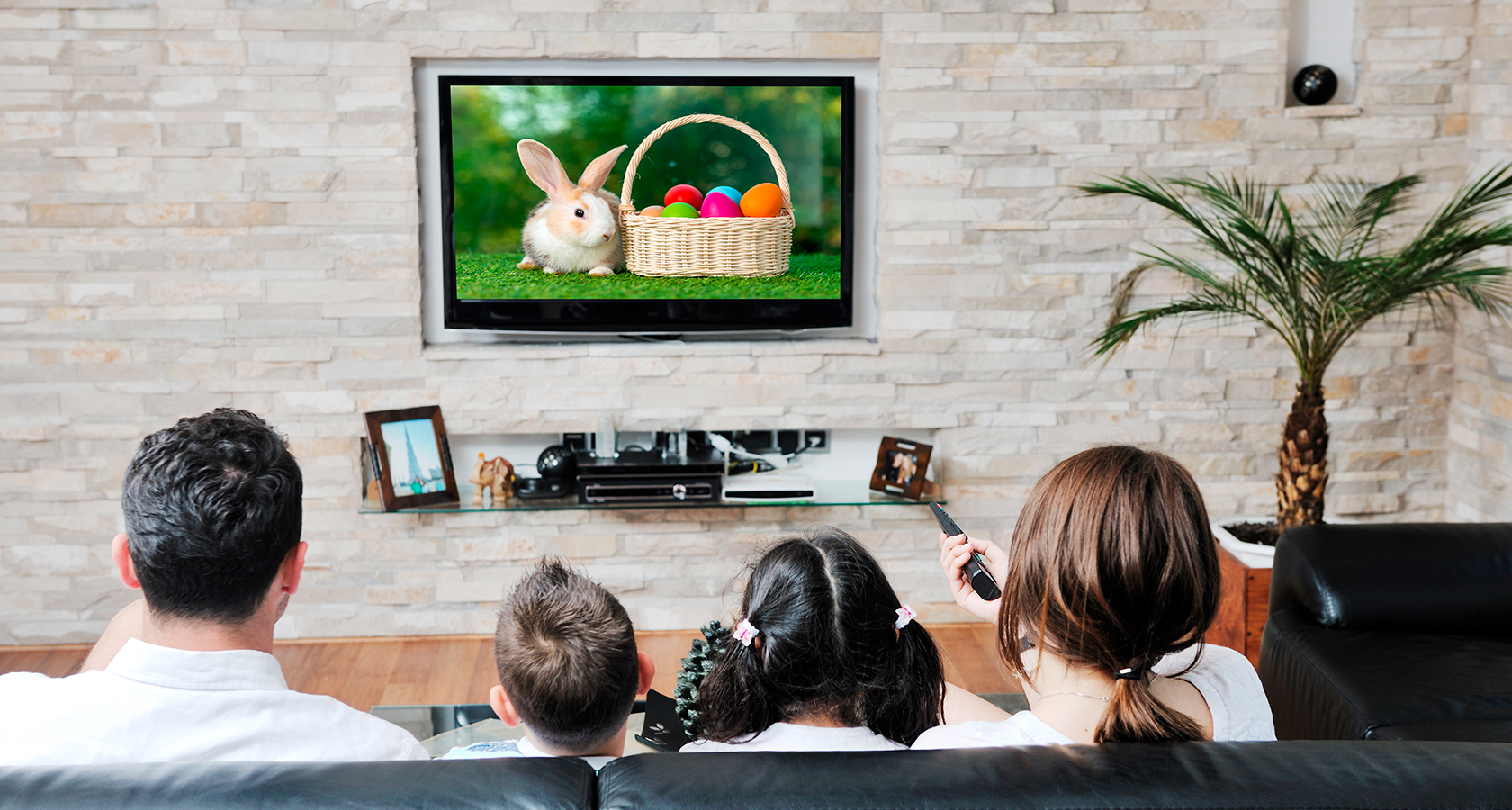 5 películas de conejos para disfrutar un fin de semana en familia