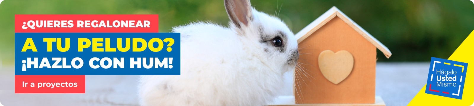 Proyectos Hum con conejo blanco
