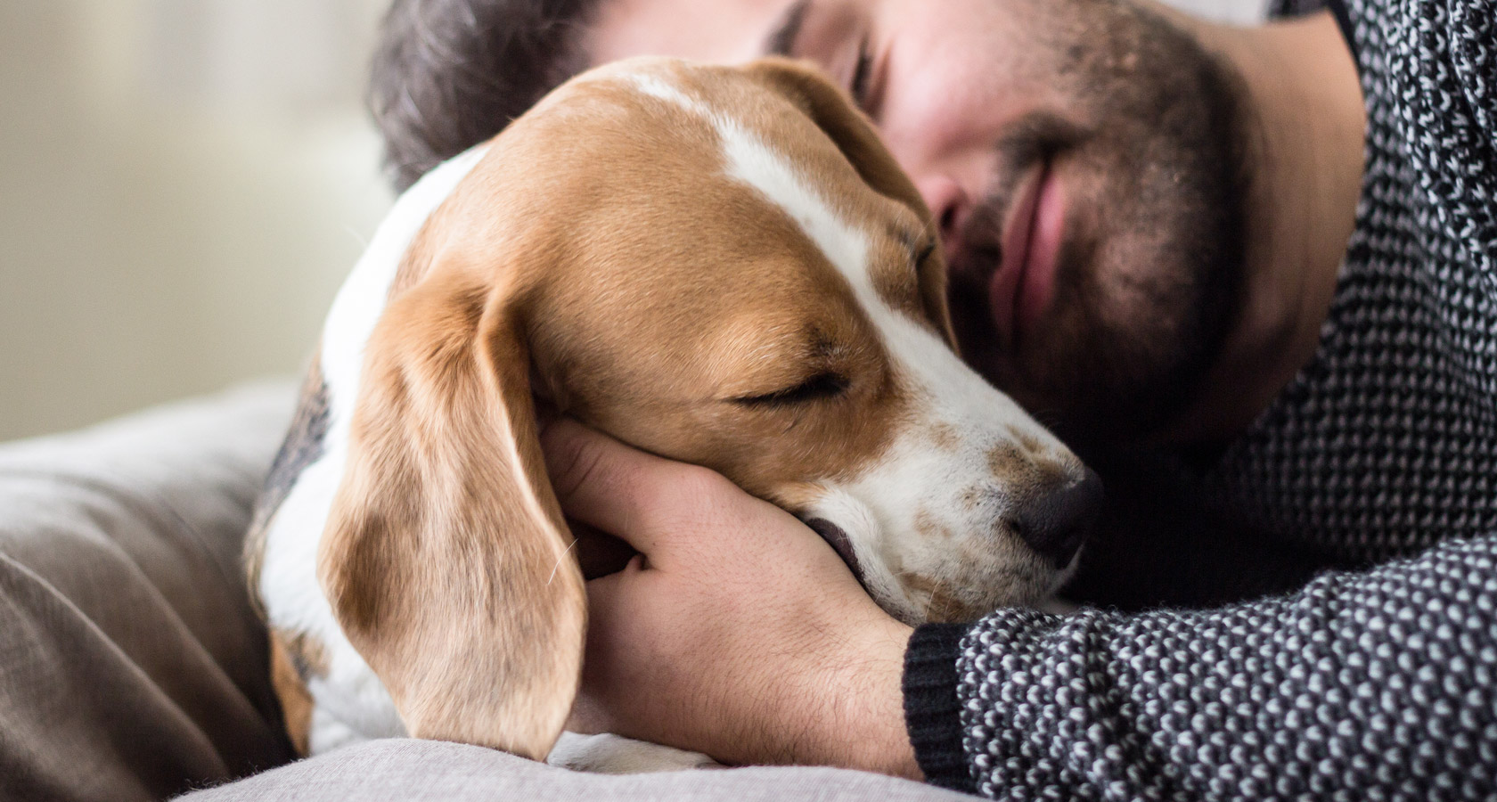 Amor de perro: 7 señales de que tu peludo te quiere