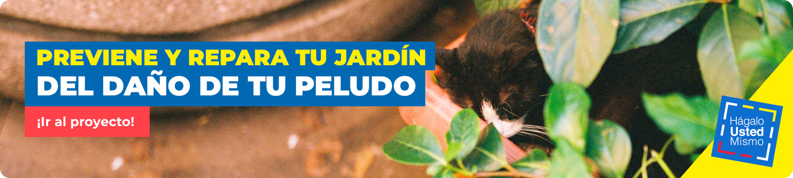 Reparar jardín con mascota