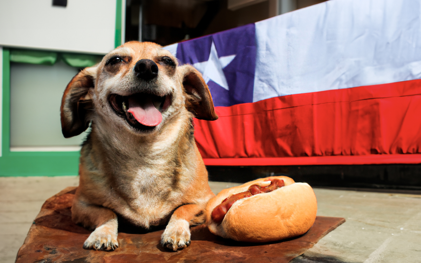 Cómo cuidar la alimentación de tu mascota en Fiestas Patrias