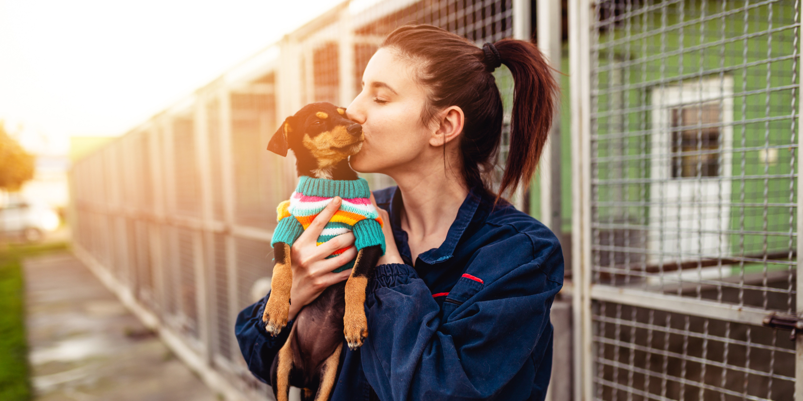 Conoce 5 beneficios de adoptar un perrito