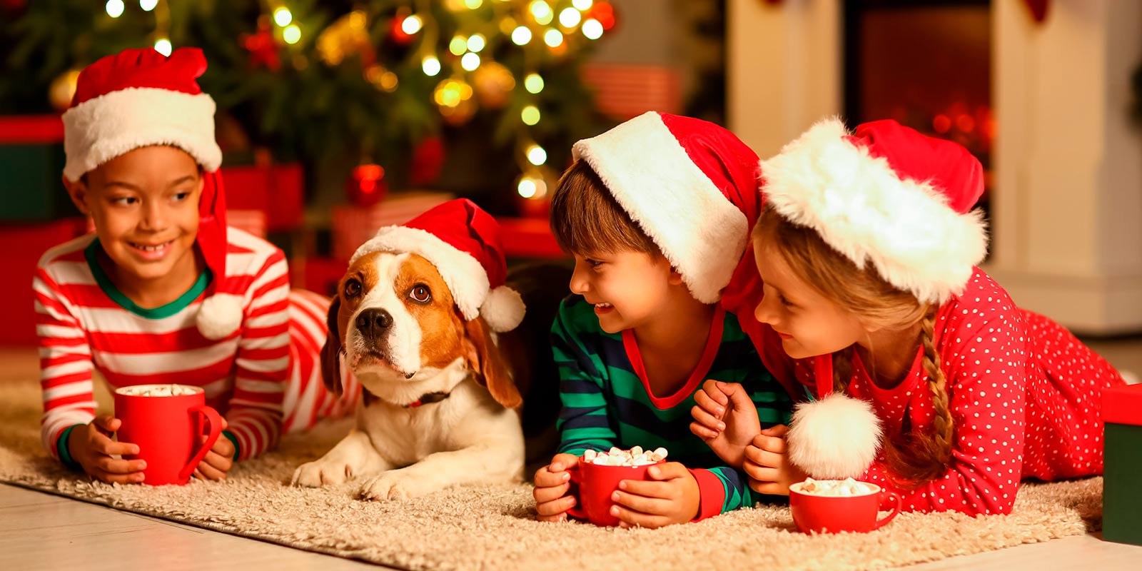Averigua cómo disfrutar de una tranquila Navidad con tu mascota