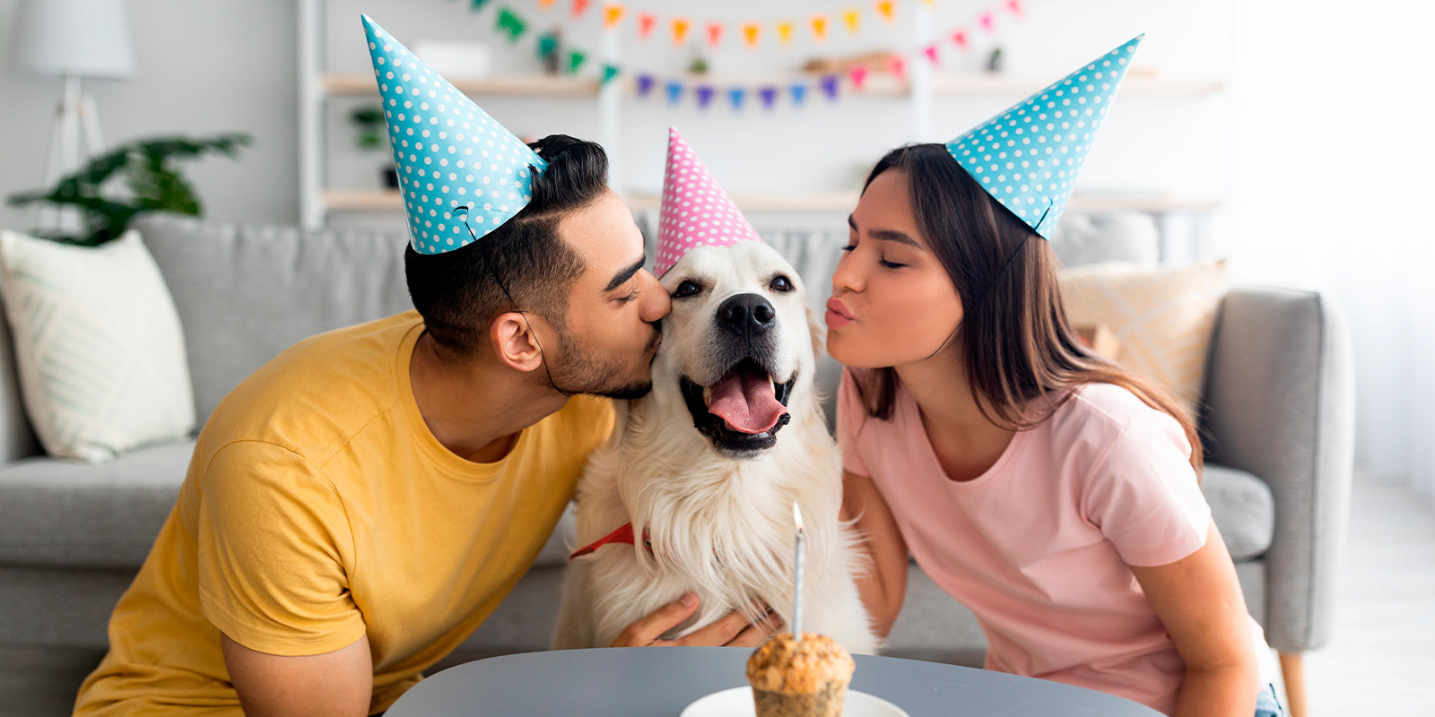 Descubre cómo celebrar el cumpleaños de tu perro