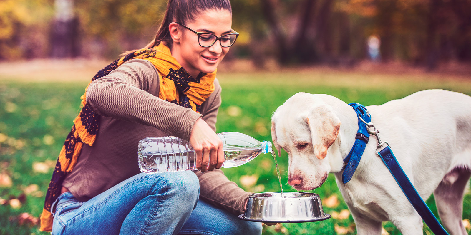 Perrito con agua