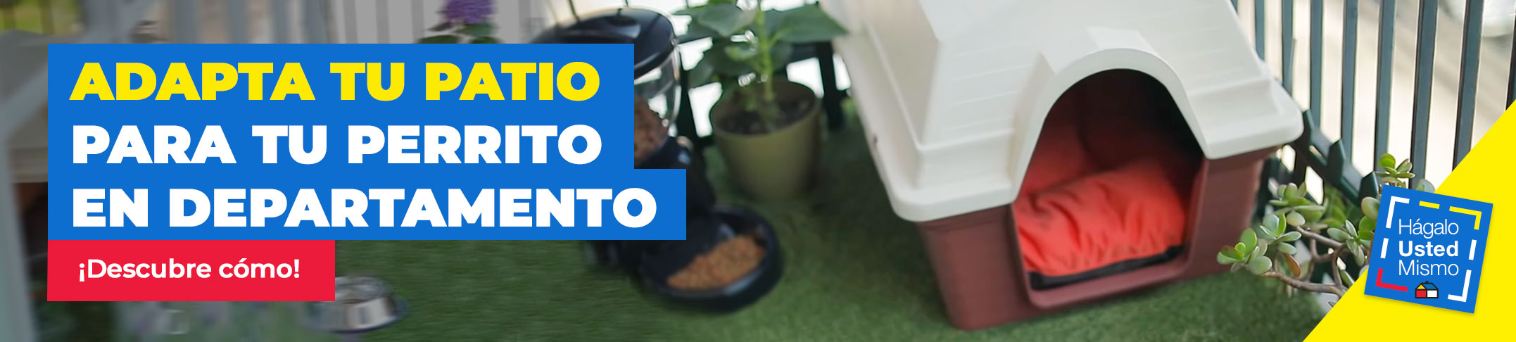 adapta tu patio para tu perro