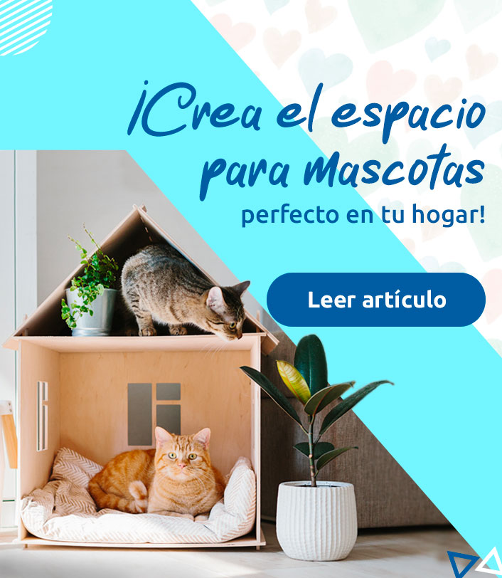 crea el espacio para mascotas perfecto