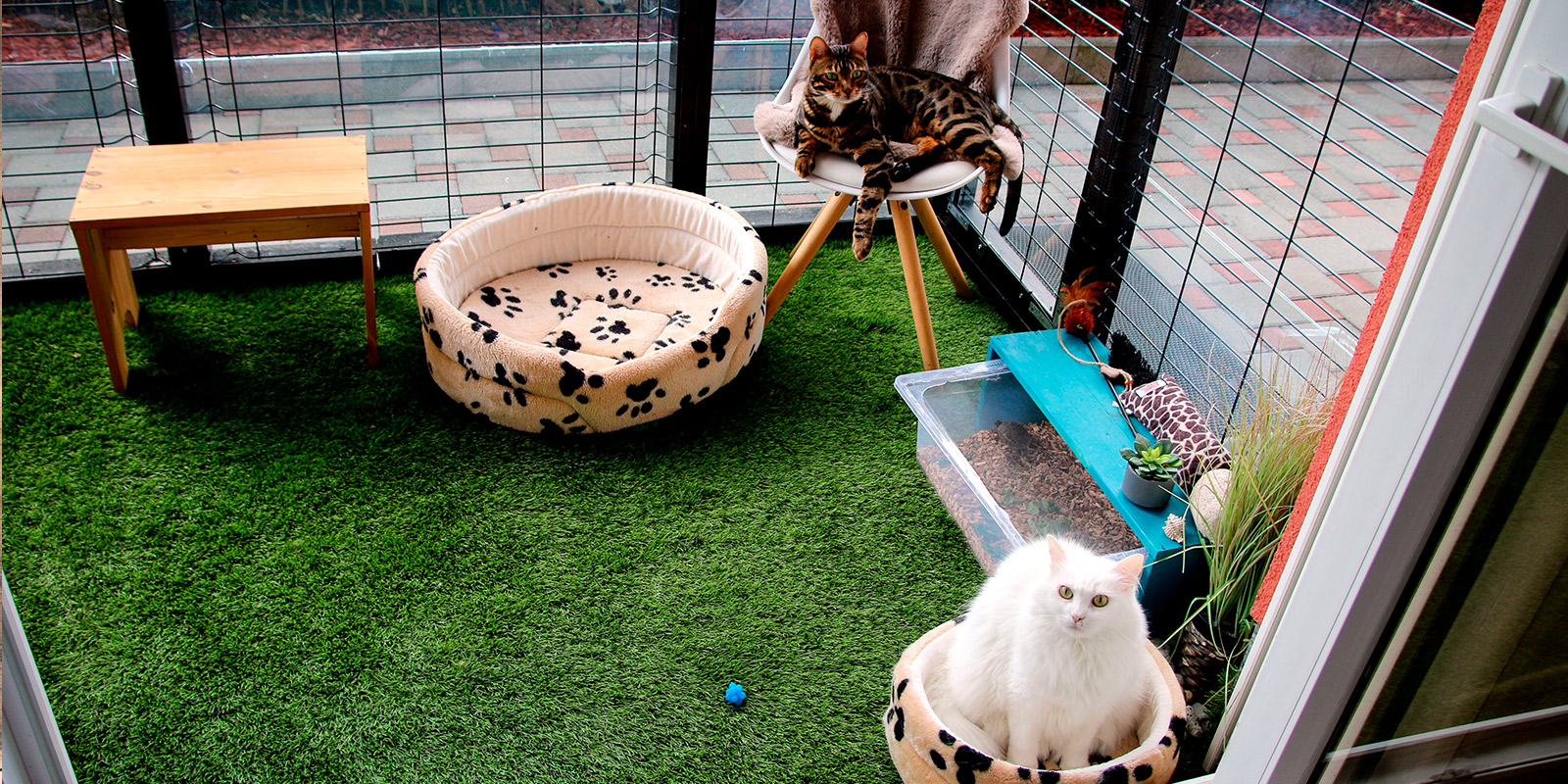 gatos cómodos en un espacio perfecto para mascotas, con silla, cama y arenero.