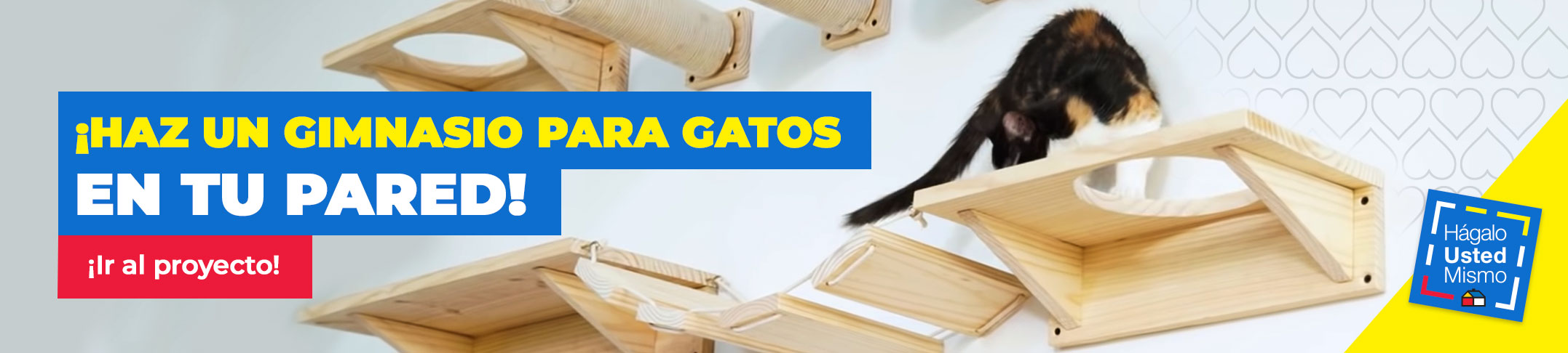 Banner de proyecto hágalo usted mismo de gimnasio para gatos