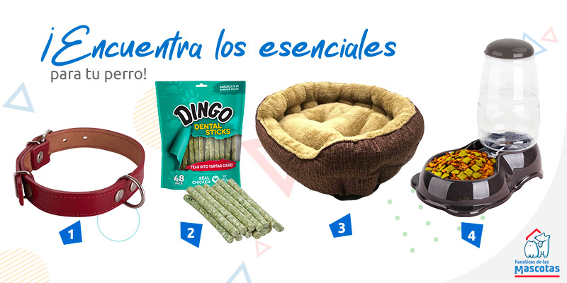 productos para perro