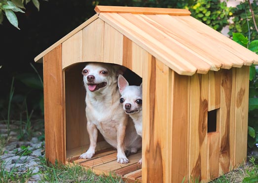 Casas para perros: ¡protege su lugar para un sueño sin frío!