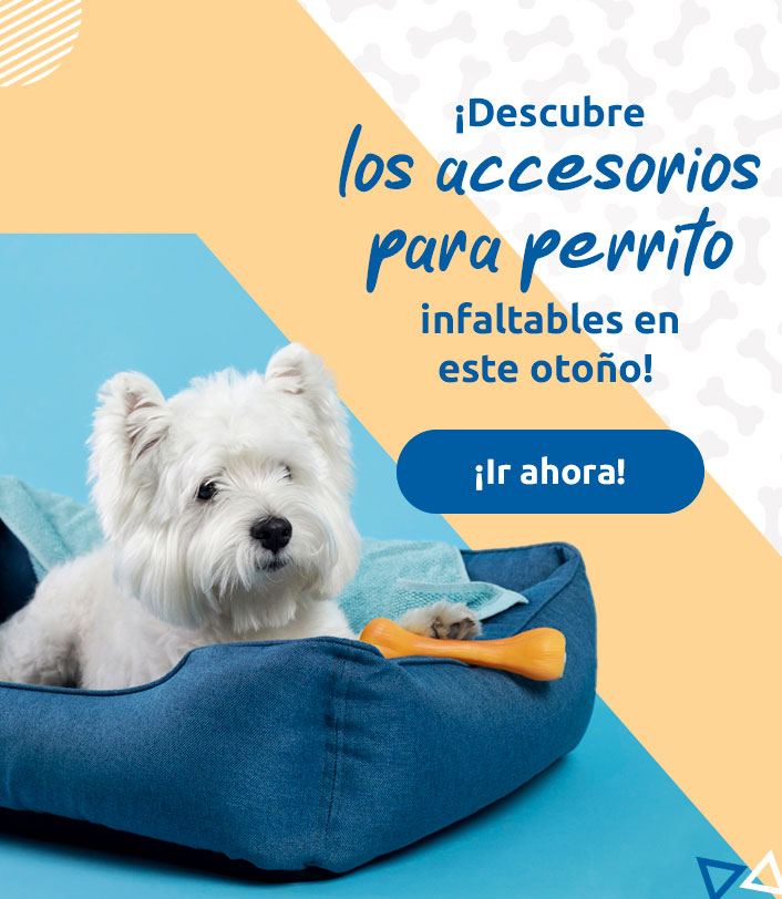 accesorios-otono-vMobile