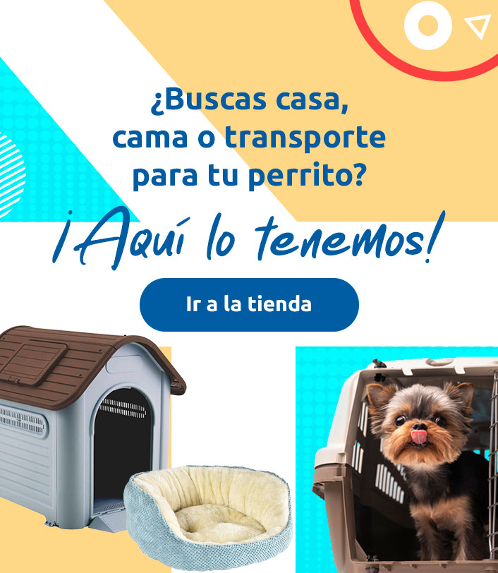 casas-camas-trasporte_banner-vMobile