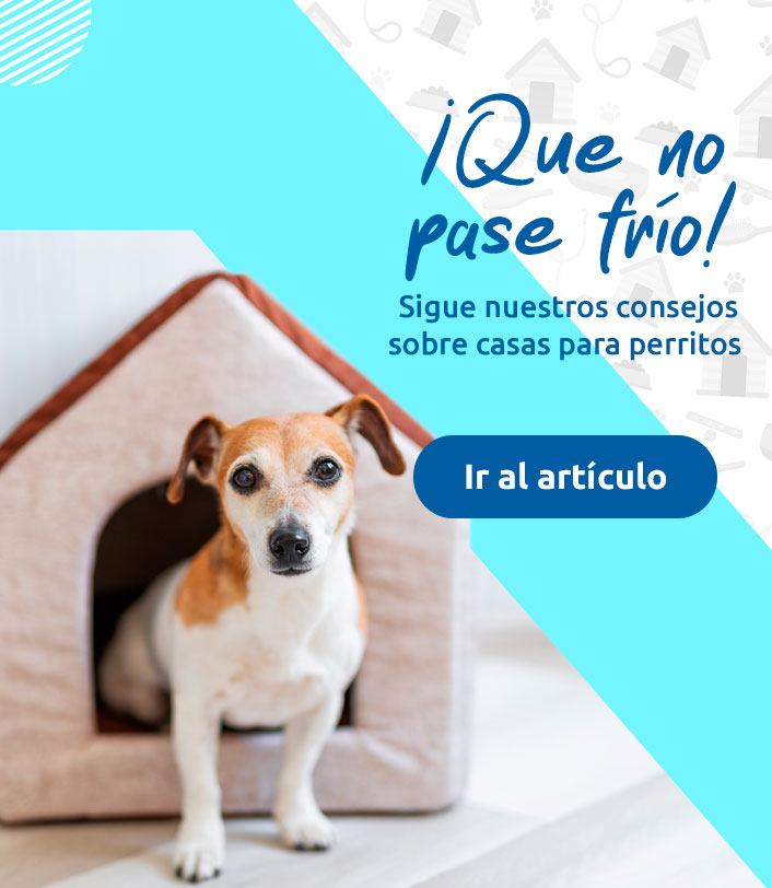 casas-de-perros-vMobile