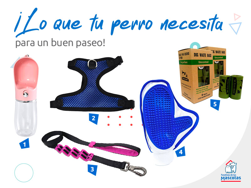 productos para paseo de perros