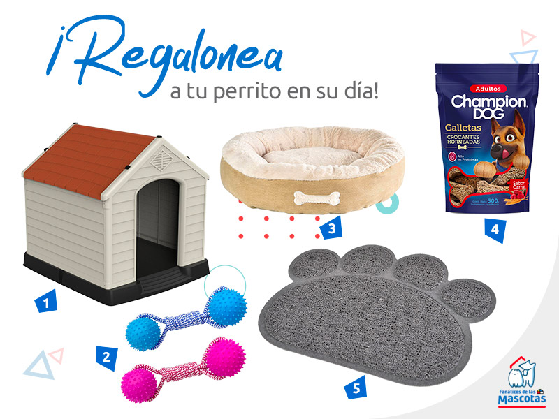 Productos para celebrar el día del perro