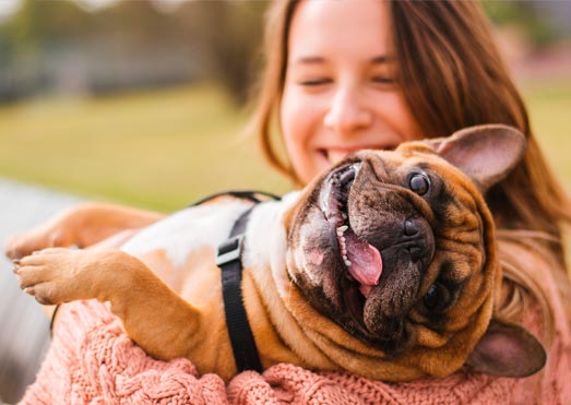 Día del perro: guía básica para cuidar a tu regalón