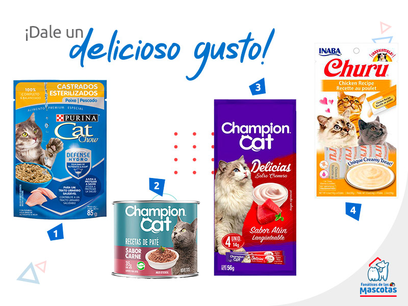 Snack y premios para celebrar el día del gato