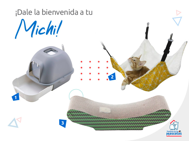 productos para recibir a un gato en adopción