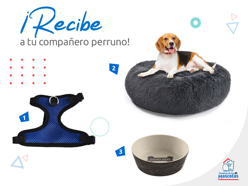 productos para recibir a un perro en adopción, adopta una mascota