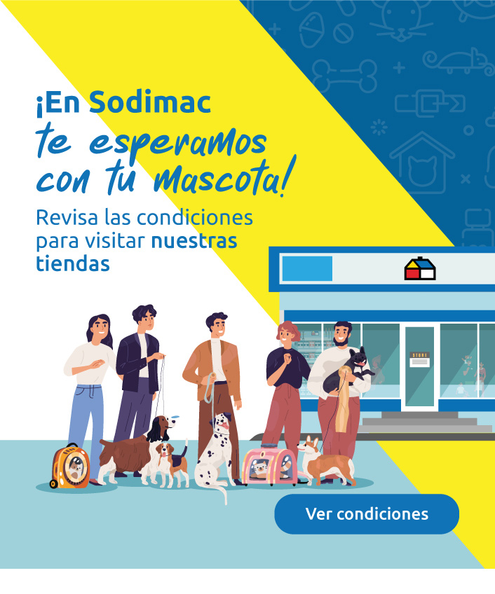 Revisa nuestras condiciones para visitar las tiendas con mascotas